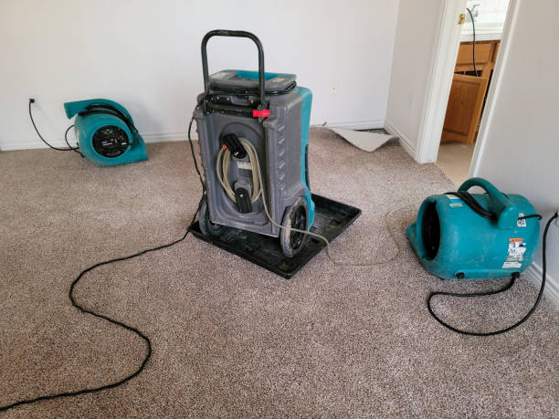 Water damage restoration insurance claims in Rocky Ford, CO