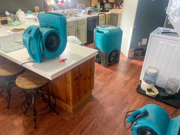 Best Commercial water damage restoration  in Rocky Ford, CO
