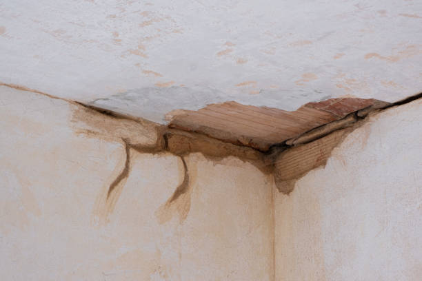 Best Basement water damage restoration  in Rocky Ford, CO