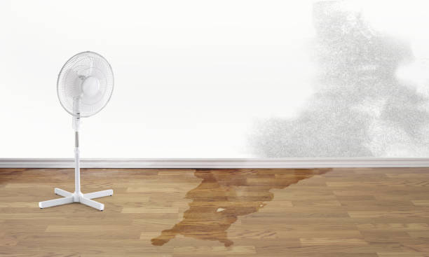Best Sewage cleanup and water damage restoration  in Rocky Ford, CO