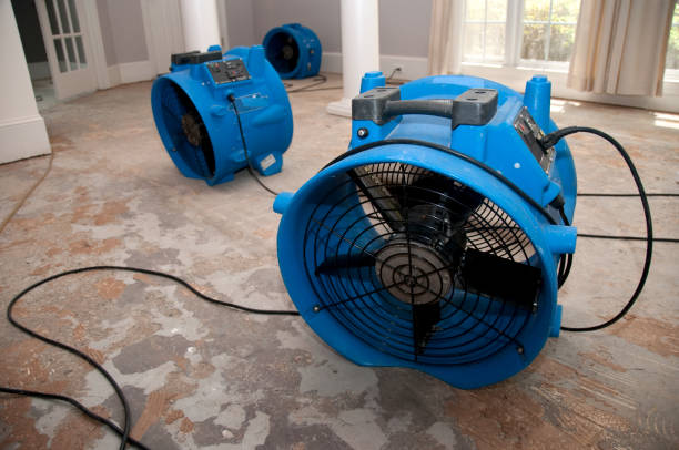 Best 24-hour water damage restoration  in Rocky Ford, CO