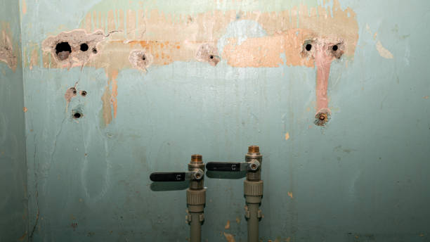 Best Professional water damage repair  in Rocky Ford, CO