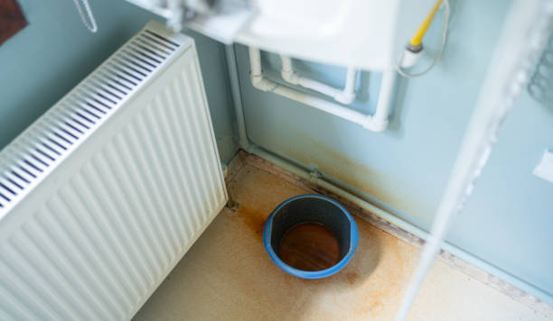 Best Water damage restoration insurance claims  in Rocky Ford, CO