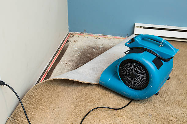 Fire Damage Restoration in Rocky Ford, CO